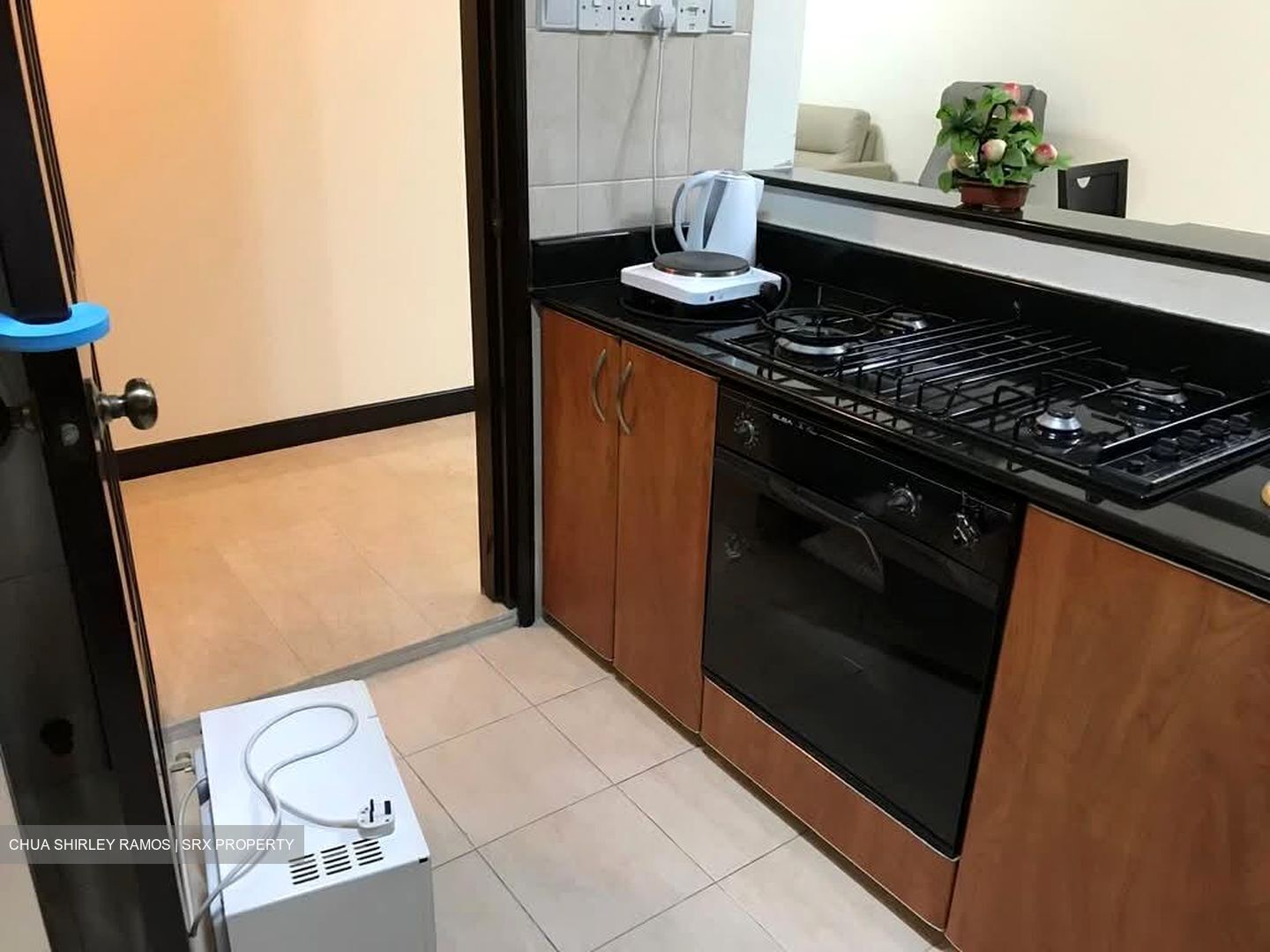 The Bencoolen (D7), Apartment #583372431